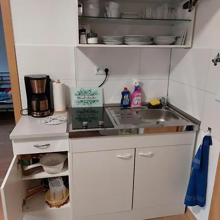 Apartment Celik