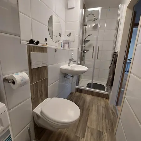 Apartment Celik *